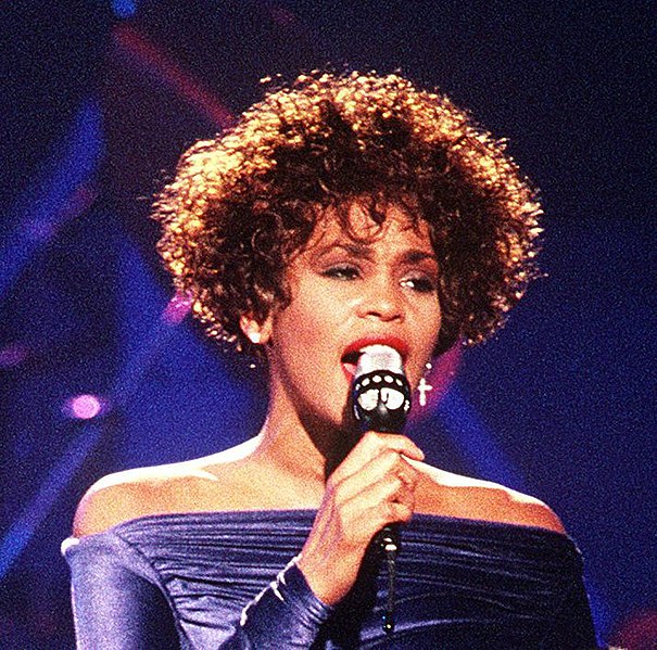 Whitney Houston Welcome Home Heroes 1 cropped