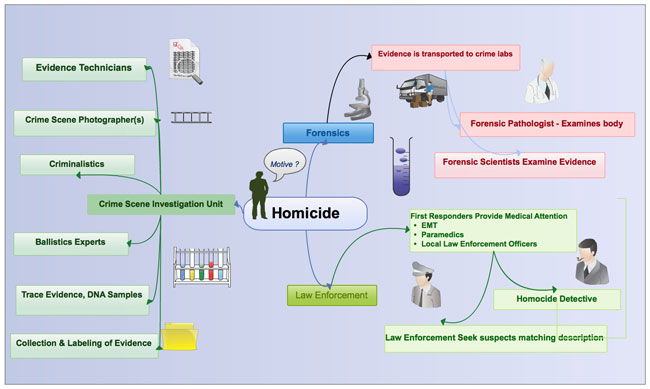 CSI Process after homicide 