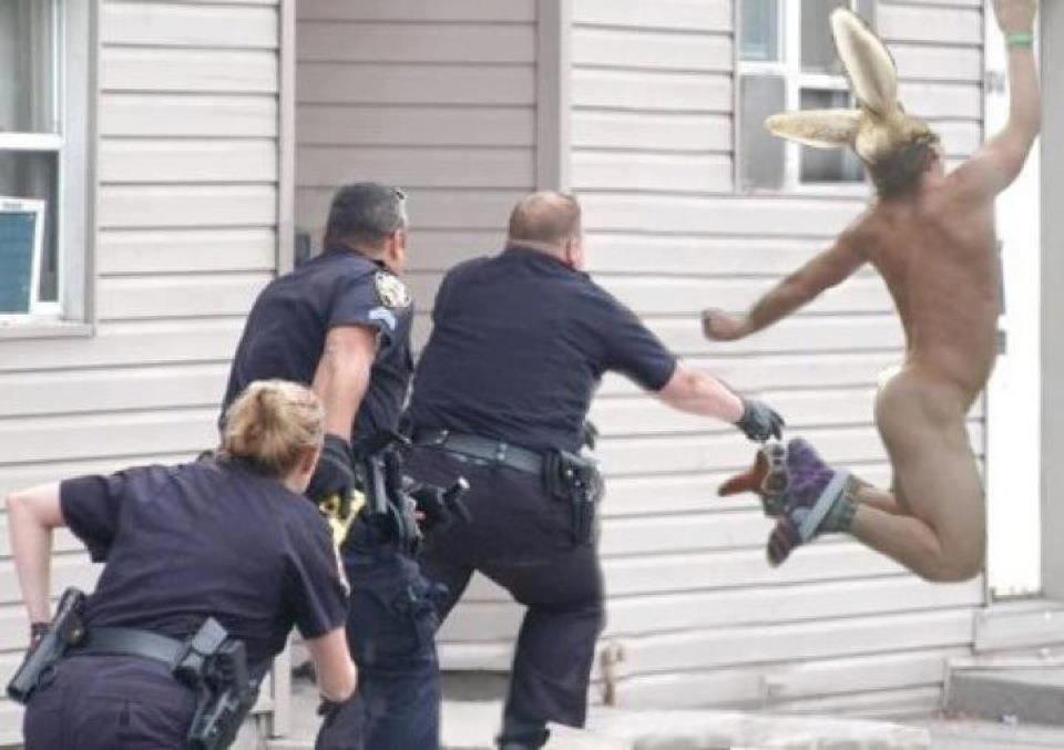 West Virginia State Police chase 'naked bunny'